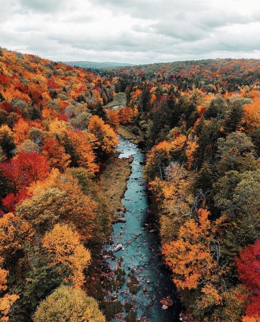 Die Trendfarben in diesem Herbst.