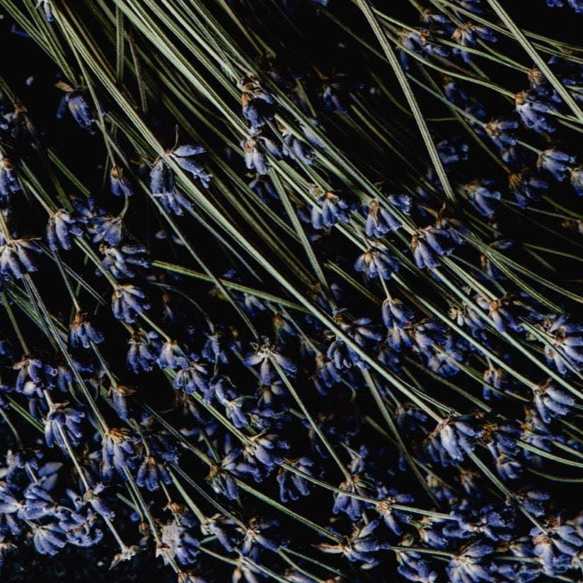 Duftkerze Lavendel