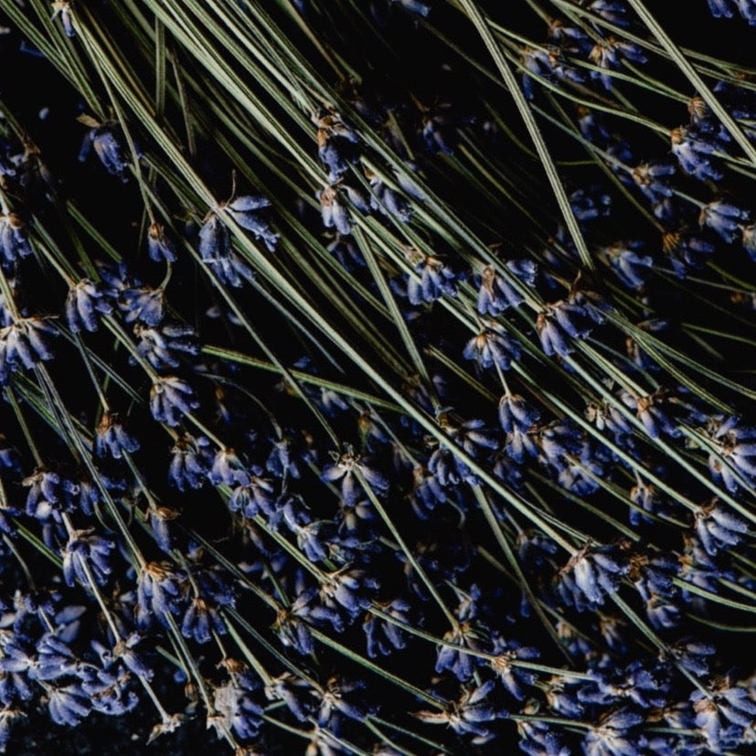 Raumdiffusor „Lavendel“ – Entspannend & beruhigend