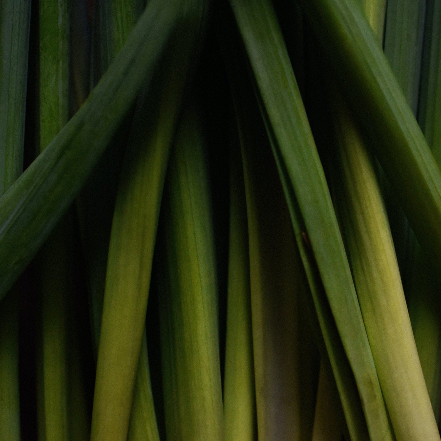 Duftspray Lemongrass