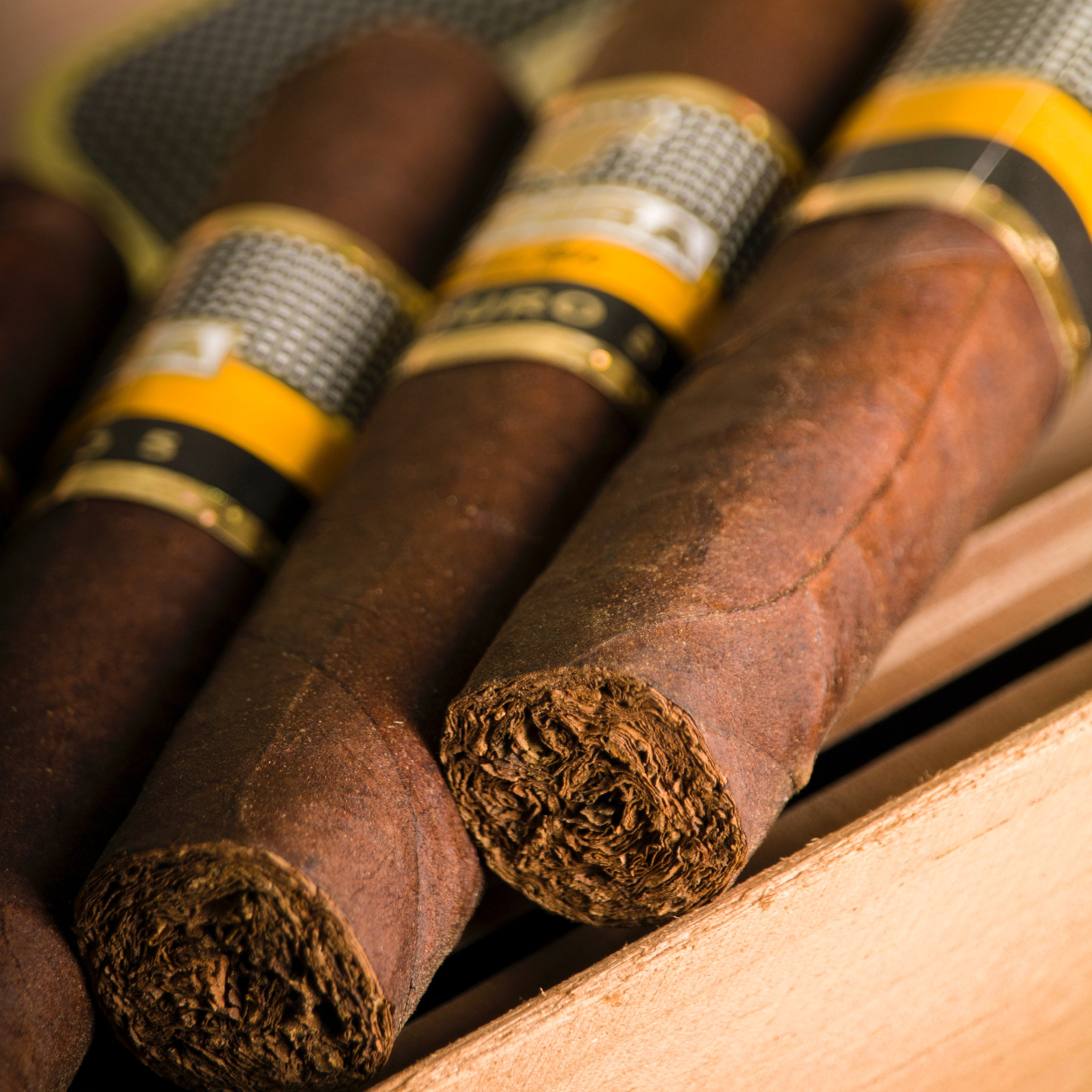 Premiumduftkerze Smokey Cigar